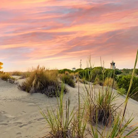 Equipe Pour 4 Pers Avec Parking Prive A 2 Min De La Au Grau-du-roi - Fr-1-307-210 Le Grau-du-Roi